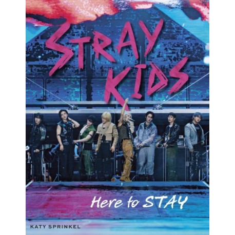Stray Kids: Here to STAY