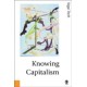 Knowing Capitalism