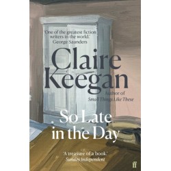 So Late in the Day: The Sunday Times bestseller