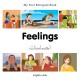 My First Bilingual Book -  Feelings (English-Urdu)