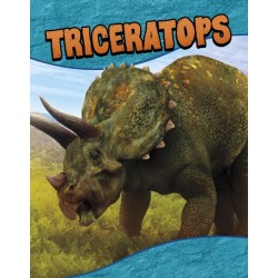 Triceratops