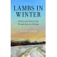 Lambs in Winter: Sketches of a Vermont Life Through Seasons of Change