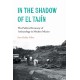 In the Shadow of El Tajin: The Political Economy of Archaeology in Modern Mexico