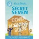 Reading Champion: The Secret Seven: The Noisy Neighbours: Blue Band 4