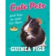 Cute Pets! And How to Care For Them: Guinea Pigs