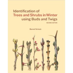 Identification of Trees and Shrubs in Winter using Buds and Twigs