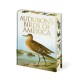 Audubon's Birds of America
