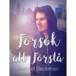 Försök att förstå