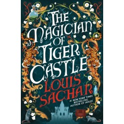 The Magician of Tiger Castle: the highly anticipated debut adult novel from the international bestselling author