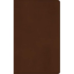 ESV Large Print Value Thinline Bible