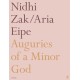 Auguries of a Minor God