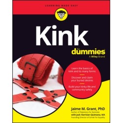 Kink For Dummies