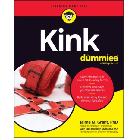 Kink For Dummies