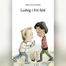 Ludvig i frit fald