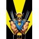 Return Of Wolverine Omnibus