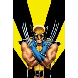 Return Of Wolverine Omnibus
