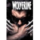 Wolverine: The Death And Life Of Sabretooth
