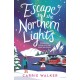 Escape to the Northern Lights: A hilarious and heartwarming escapist romance, perfect to curl up this Christmas