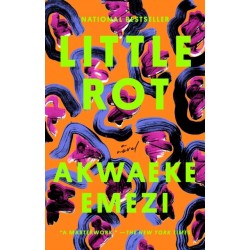 Little Rot: A Novel