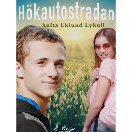 Hökautostradan
