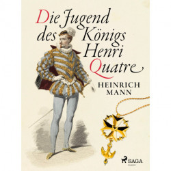 Die Jugend des Königs Henri Quatre