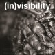 (in)visibility