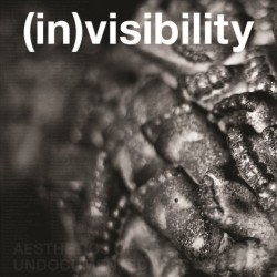 (in)visibility