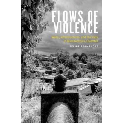 Flows of Violence: Water, Infrastructures, and the State in Buenaventura, Colombia