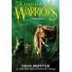 Warriors: A Starless Clan -4: Thunder