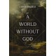 A World Without God: The Search for Meaning in a Society Overwhelmed by Despair