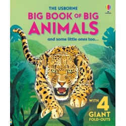 Big Book of Big Animals