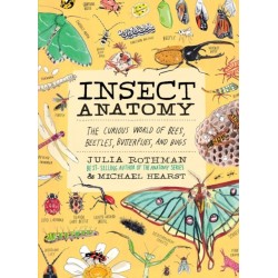Insect Anatomy: The Curious World of Bees, Beetles, Butterflies, and Bugs