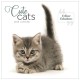Cute Cats Square Wall Calendar 2026