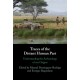 Traces of the Distant Human Past: Understanding the Archaeology of our Origins