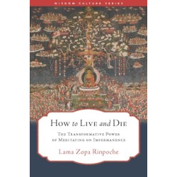 How to Live and Die: The Transformative Power of Meditating on Impermanence