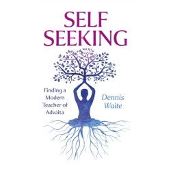 SELF SEEKING: Finding a Modern Teacher of Advaita
