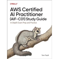 AWS Certified AI Practitioner (AIF-C01) Study Guide: In-Depth Exam Prep and Practice