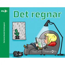 Det regnar (svensk)