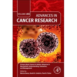 Primary Brain Tumors in Adults: Advances in Mechanistic Understanding, Evaluation, and Management