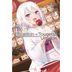 The BS Situation of Tougetsu Umidori, Vol. 3 (light novel)