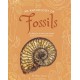 An Anthology of Fossils: A Collection of Plant and Animal Fossils From Around the World