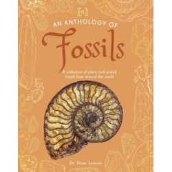 An Anthology of Fossils: A Collection of Plant and Animal Fossils From Around the World