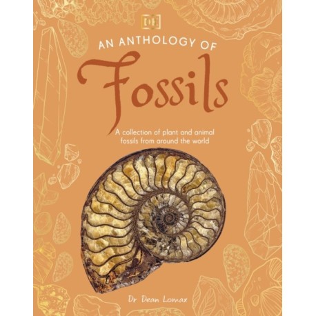 An Anthology of Fossils: A Collection of Plant and Animal Fossils From Around the World