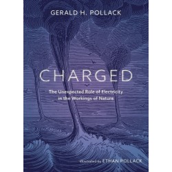 Charged: The Unexpected Role of Electricity in the Workings of Nature