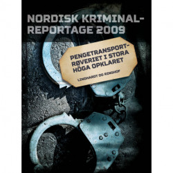 Pengetransportrøveriet i Stora Höga opklaret