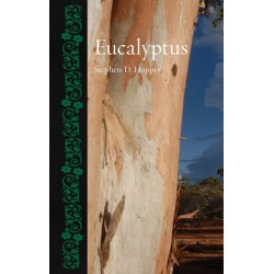 Eucalyptus