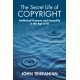 The Secret Life of Copyright: Intellectual Property and Inequality in the Age of AI
