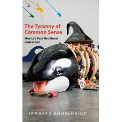 The Tyranny of Common Sense: Mexico's Post-Neoliberal Conversion