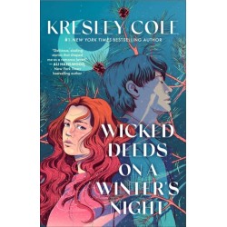 Wicked Deeds on a Winter's Night: a sizzling enemies to lovers, protector paranormal romance