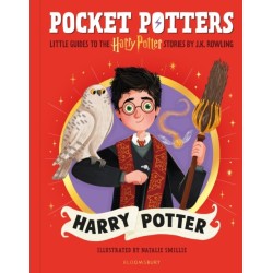 Harry Potter: The must-have Christmas stocking filler for Potter fans!